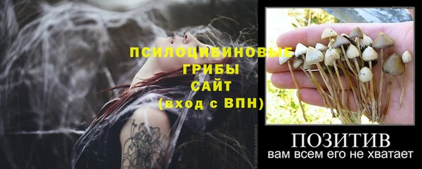 крисы Аркадак