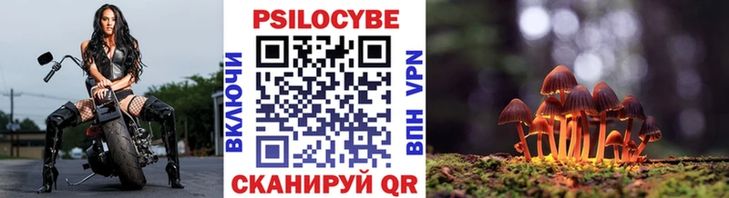 Псилоцибиновые грибы Psilocybe  купить наркотик  Междуреченск 